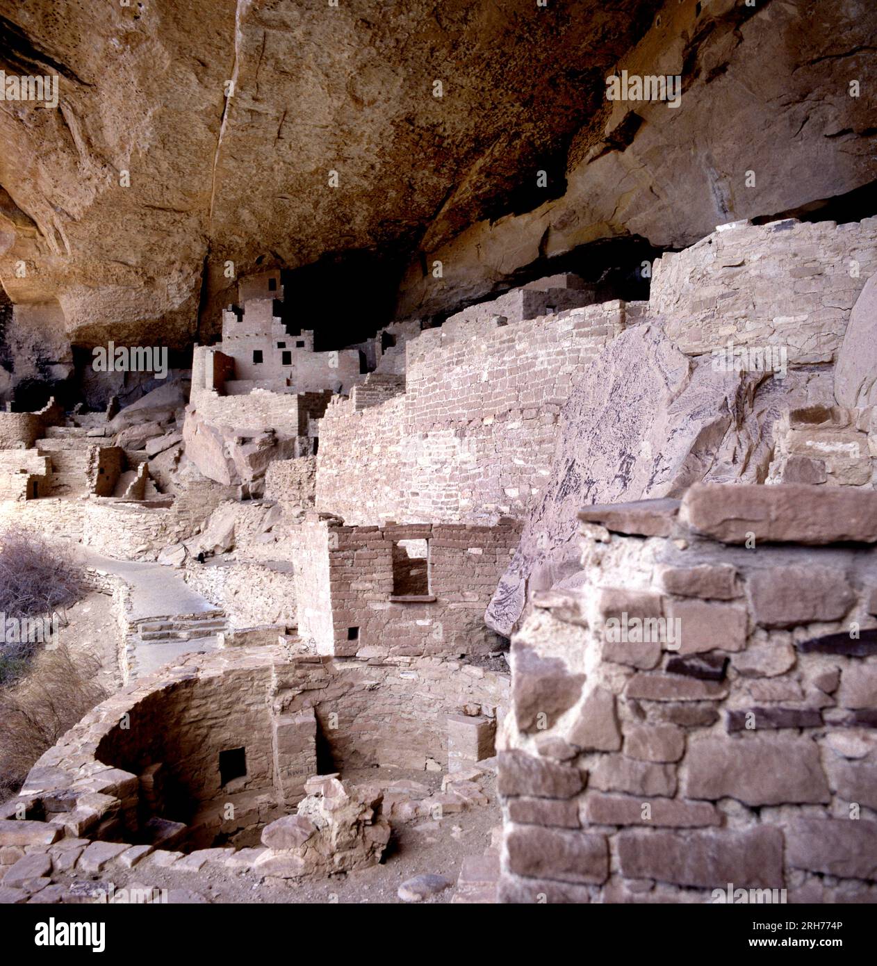View of the cliff dwellings and Cliff Palace as part of preserved ancestral Puebloan archaeological site in Mesa Verde National Park, Colorado, USA Stock Photo