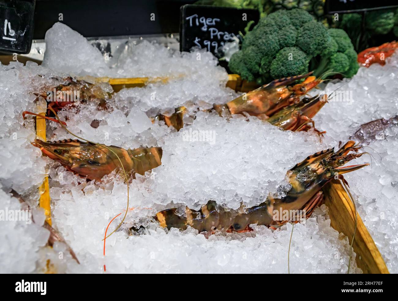 Selection of fresh raw jumbo tiger prawns on ice on display at a high end restaurant in Beverly Hills, Los Angeles, California, USA Stock Photo