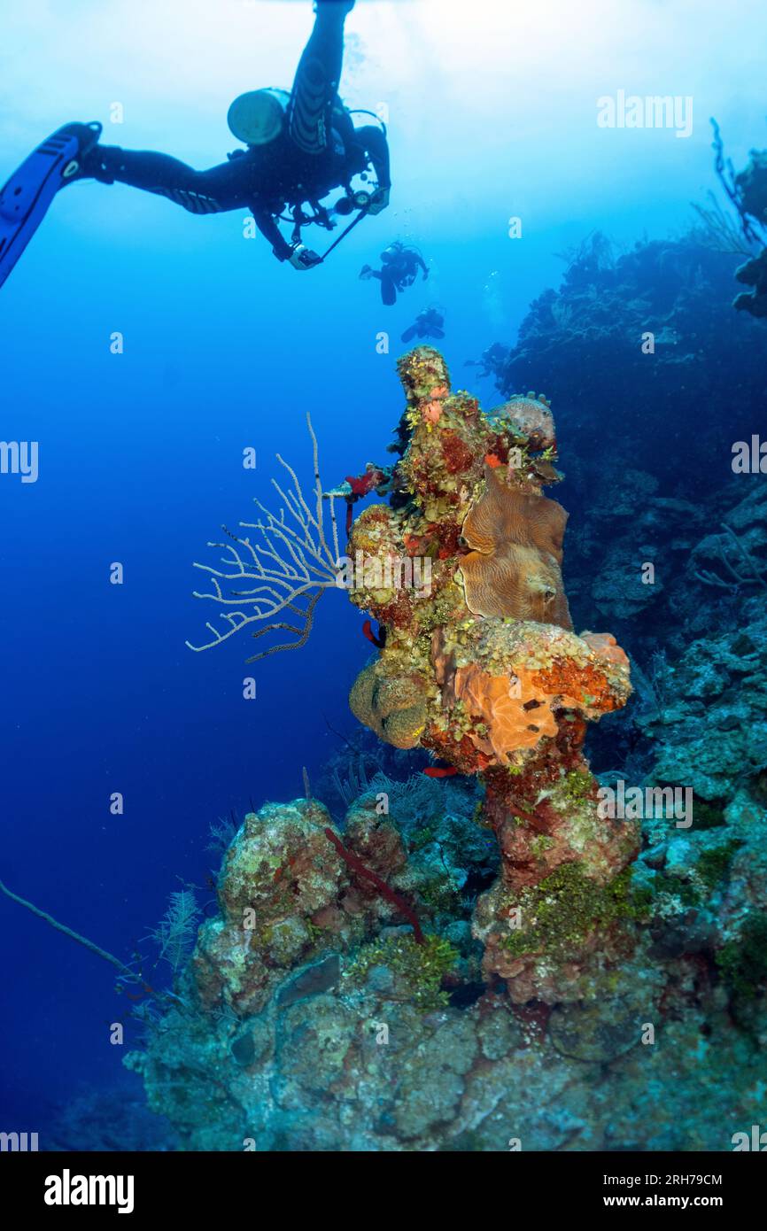 Grand Cayman Stock Photo