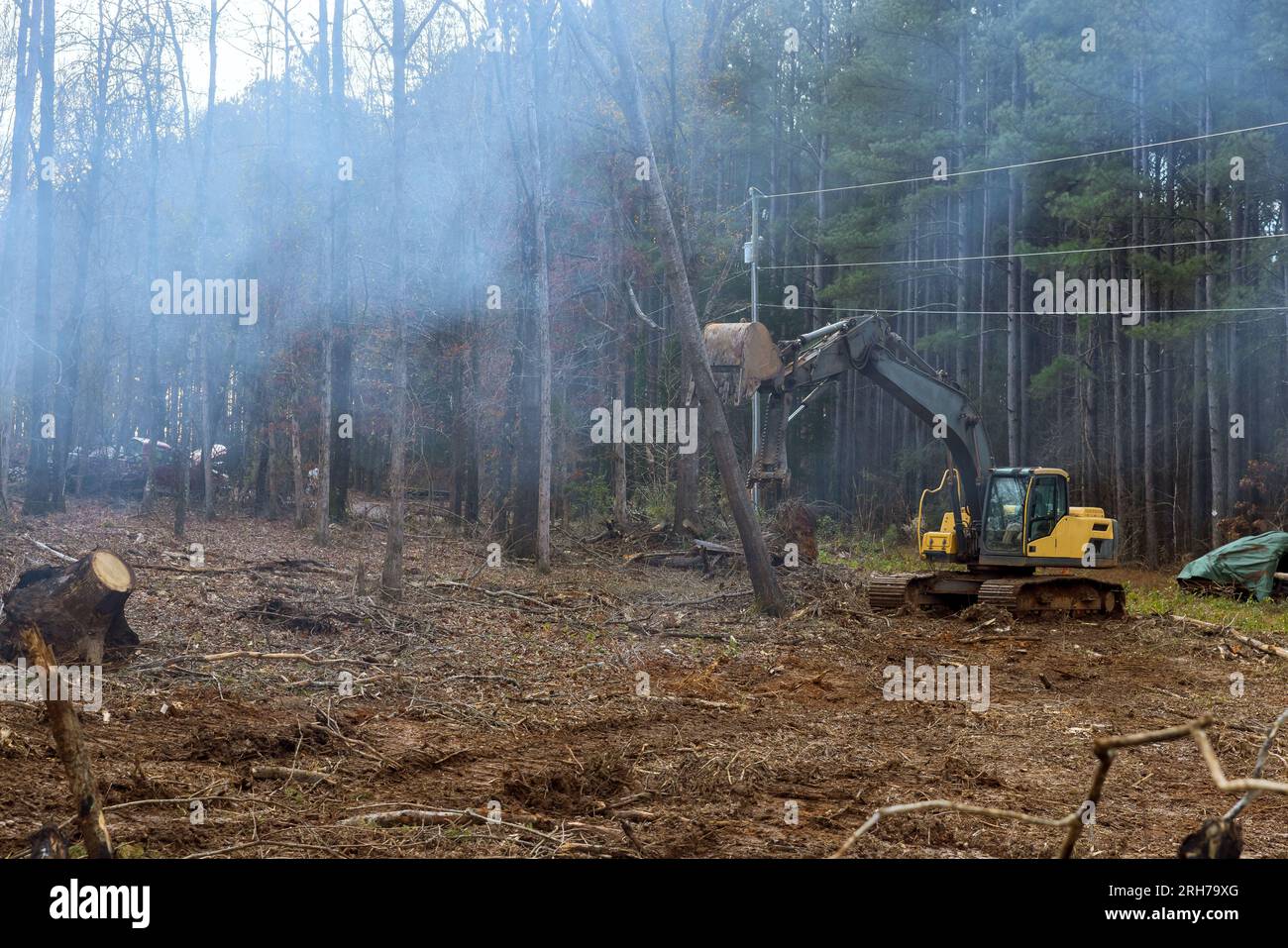 Using an excavator worker is clearing area uprooting trees to build