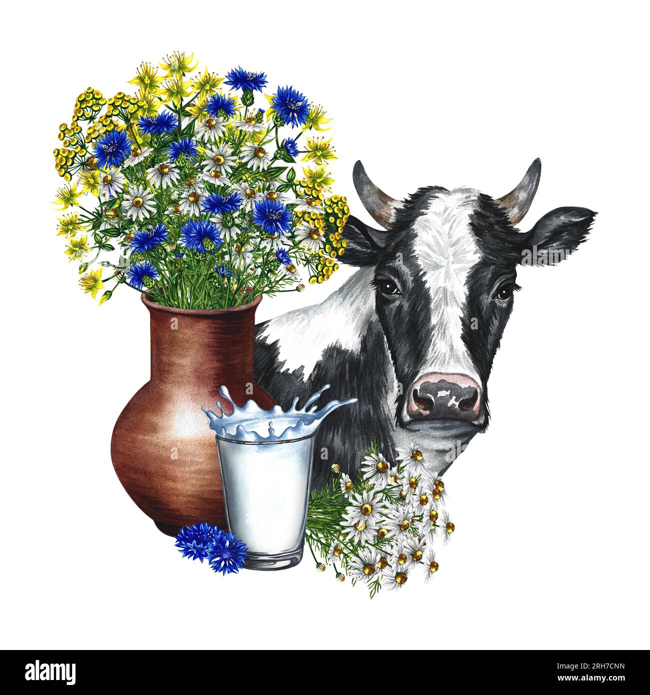 Cow and milk in a glass and a vase of wild flowers. Watercolor hand