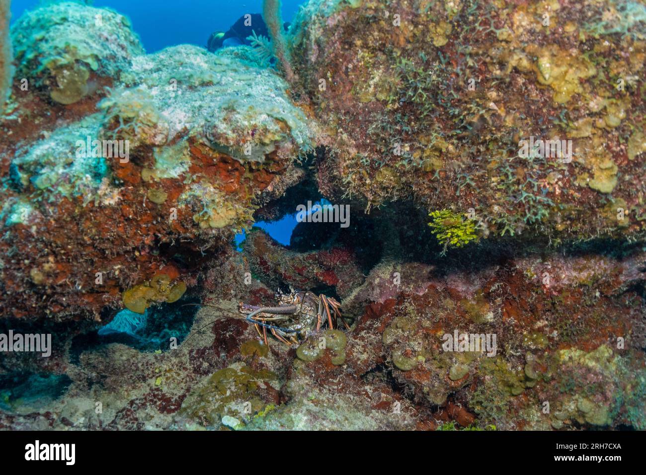 Grand Cayman Stock Photo