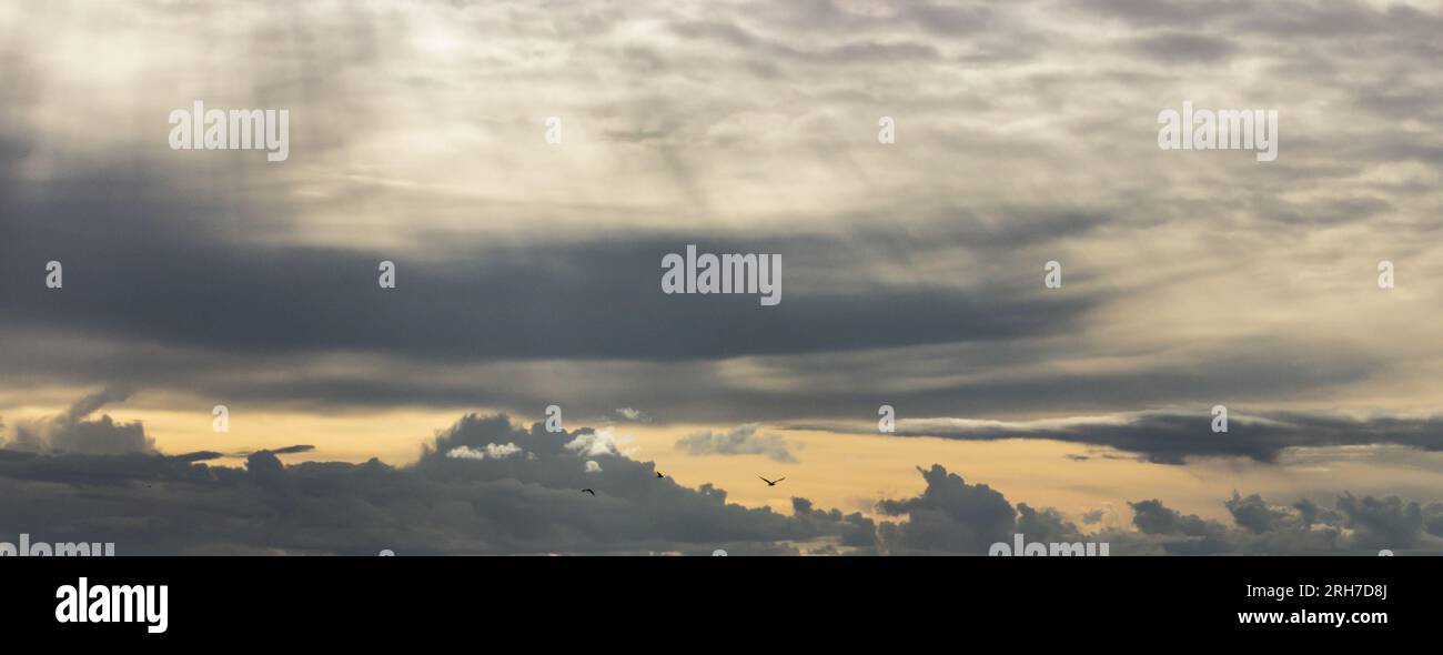 Beautiful soft clouds cover hi-res stock photography and images - Alamy
