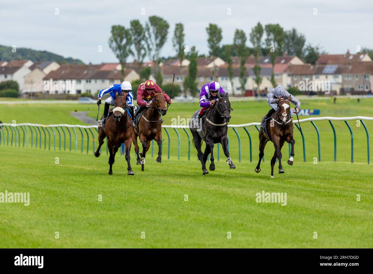 Race horses running along the flat turf track at Ayr Racecourse, Ayr, Scotland Stock Photo