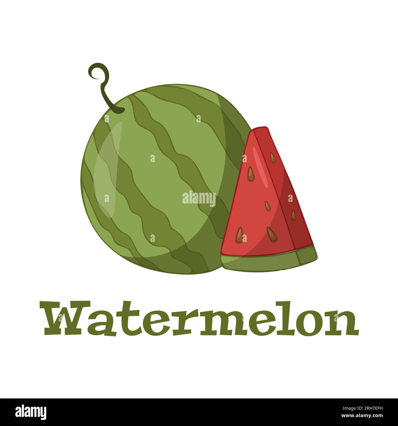Watermelon With Slice Vector Illustration Watermelon Illustration