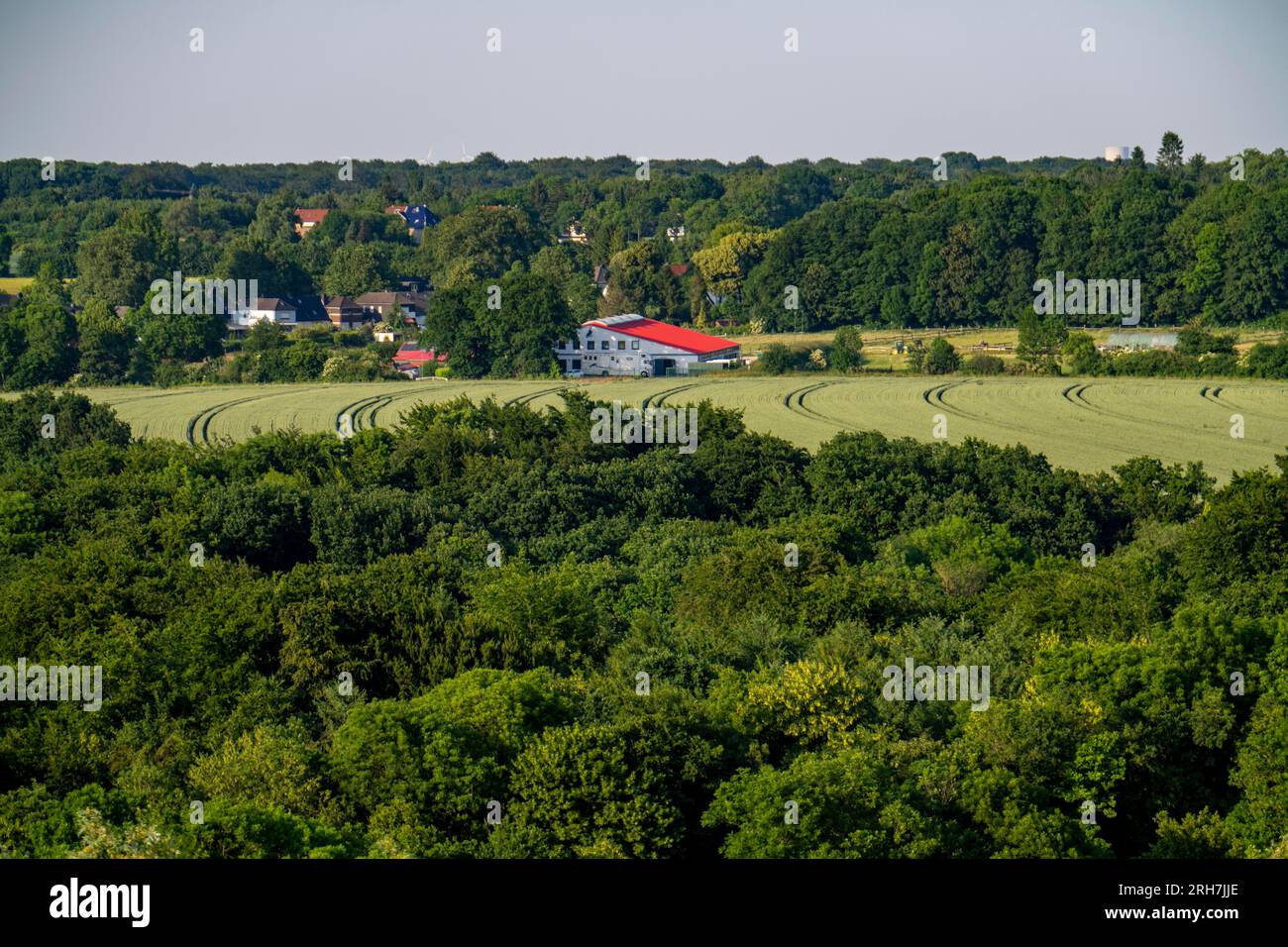 View over the Bochum, to the east, forests, fields, Schultenhof Stud