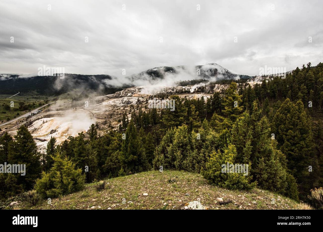 Mammoth Hot Springs from Beaver - Mammoth Hot Springs From Beaver Ponds Trail Yellowstone National Park United States 2RH7K50 