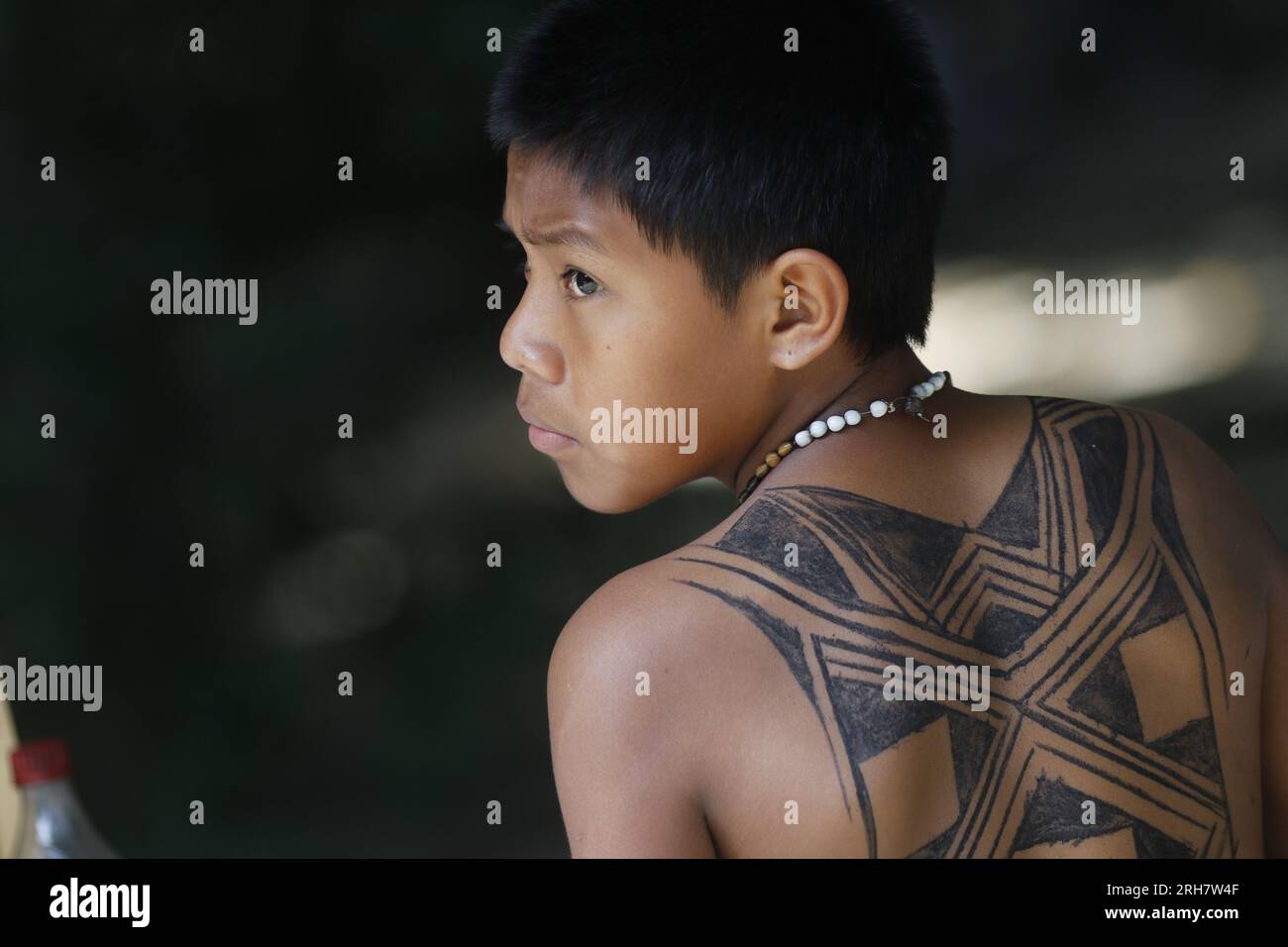 Brazilian indigenous boy portrait with body painted back tatoo with ink. International Day of Indigenous Peoples celebration Stock Photo