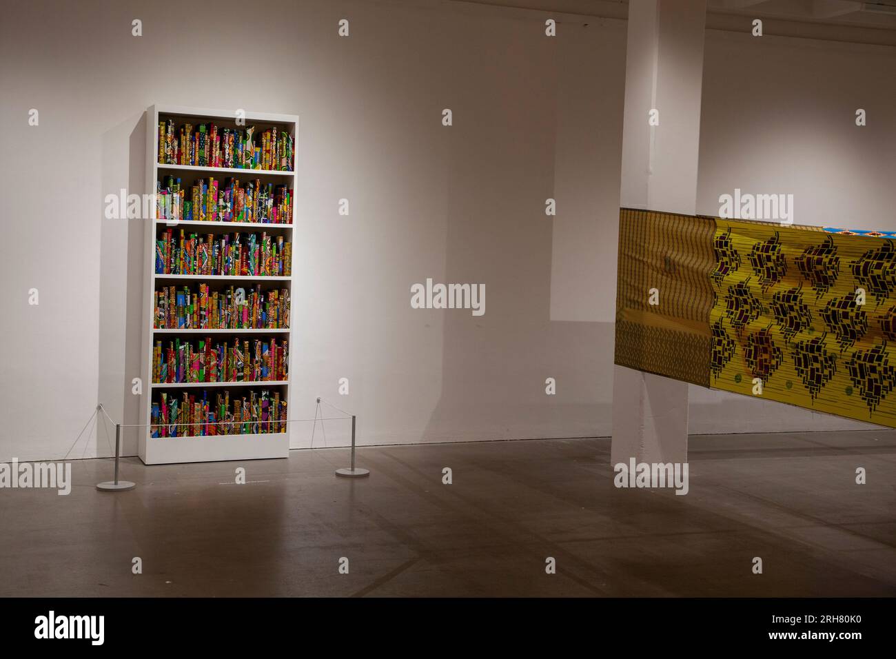 Yinka Shonibare - The British Library Collection and Lubaina Himid - The Grab Test. On display during Threads at Arnolfini Stock Photo