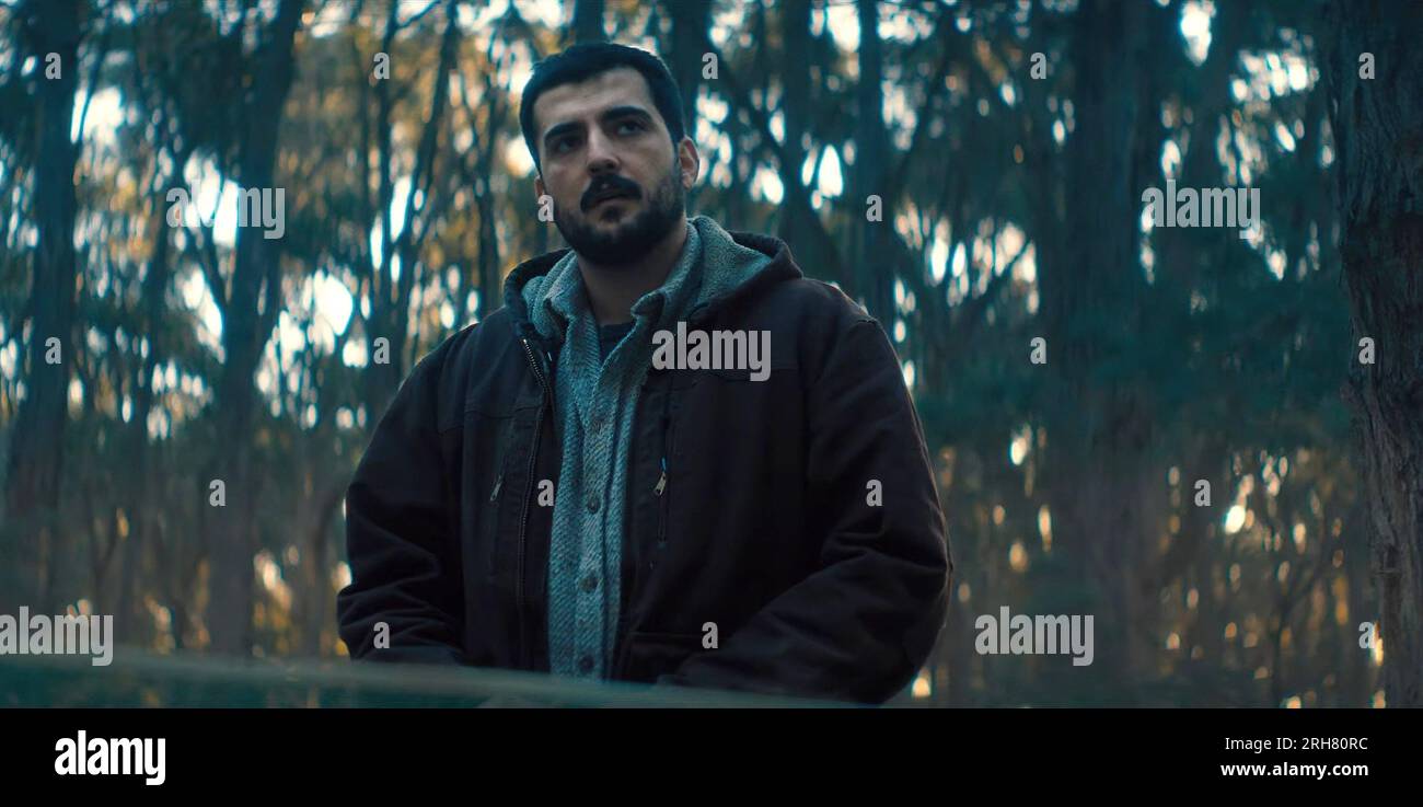 THE ROOSTER, Phoenix Raei, 2023. © Bonsai Films / Courtesy Everett ...