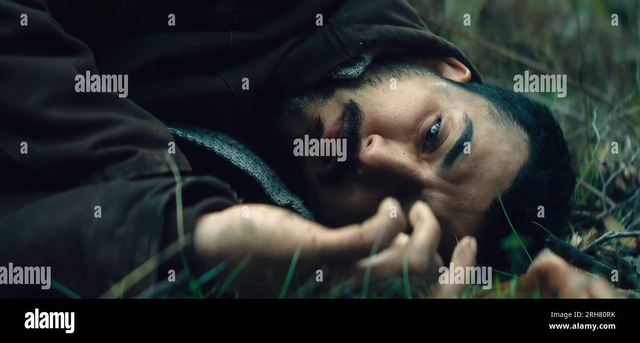 THE ROOSTER, Phoenix Raei, 2023. © Bonsai Films / Courtesy Everett ...