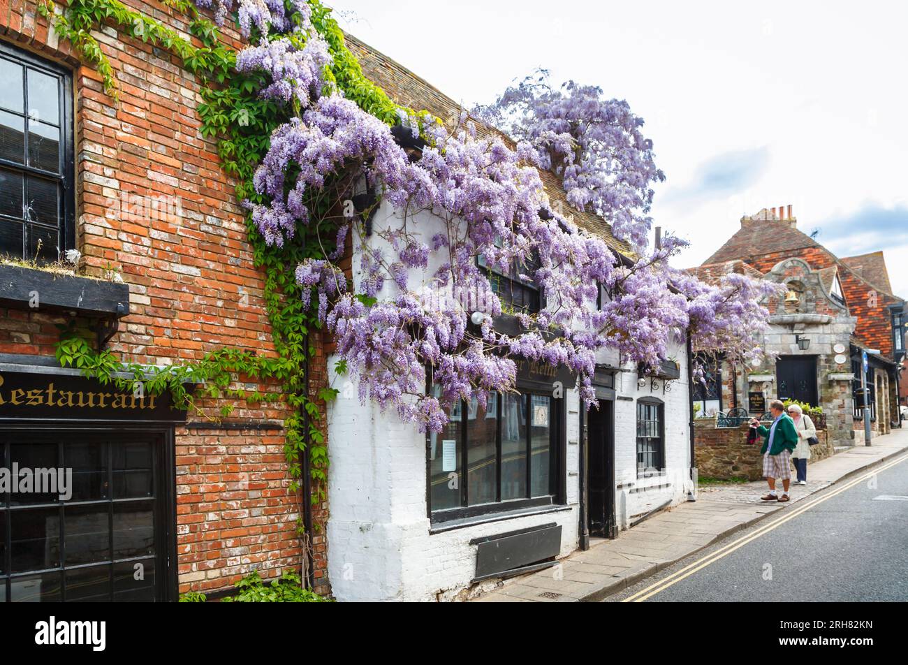 Exterior view of the wisteria covered Copper Kettle tea rooms and