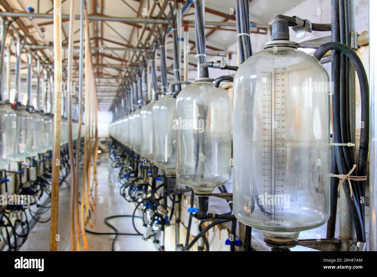 glass milk storage tank in a milking workshop, luannan county, china Stock Photo