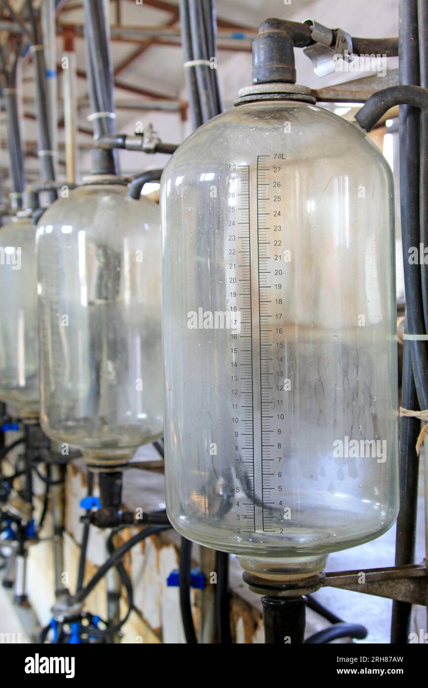 glass milk storage tank in a milking workshop, luannan county, china Stock Photo