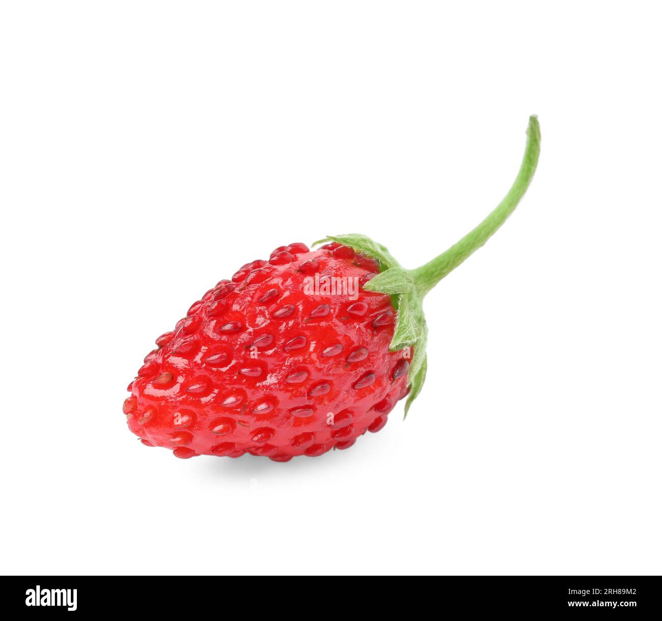 One ripe wild strawberry isolated on white Stock Photo - Alamy
