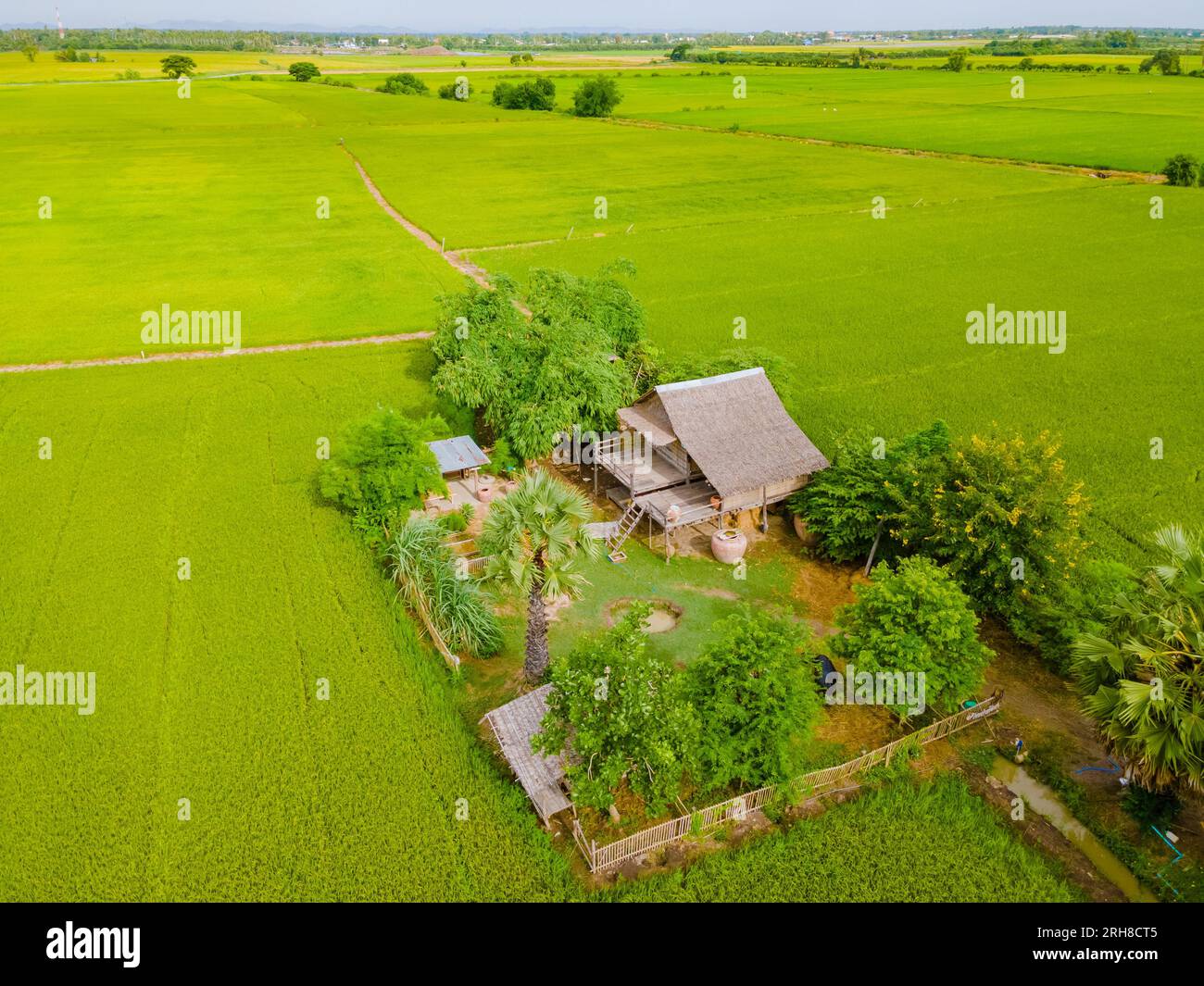Bamboo hut homestay farm with Green rice paddy fields in Central ...