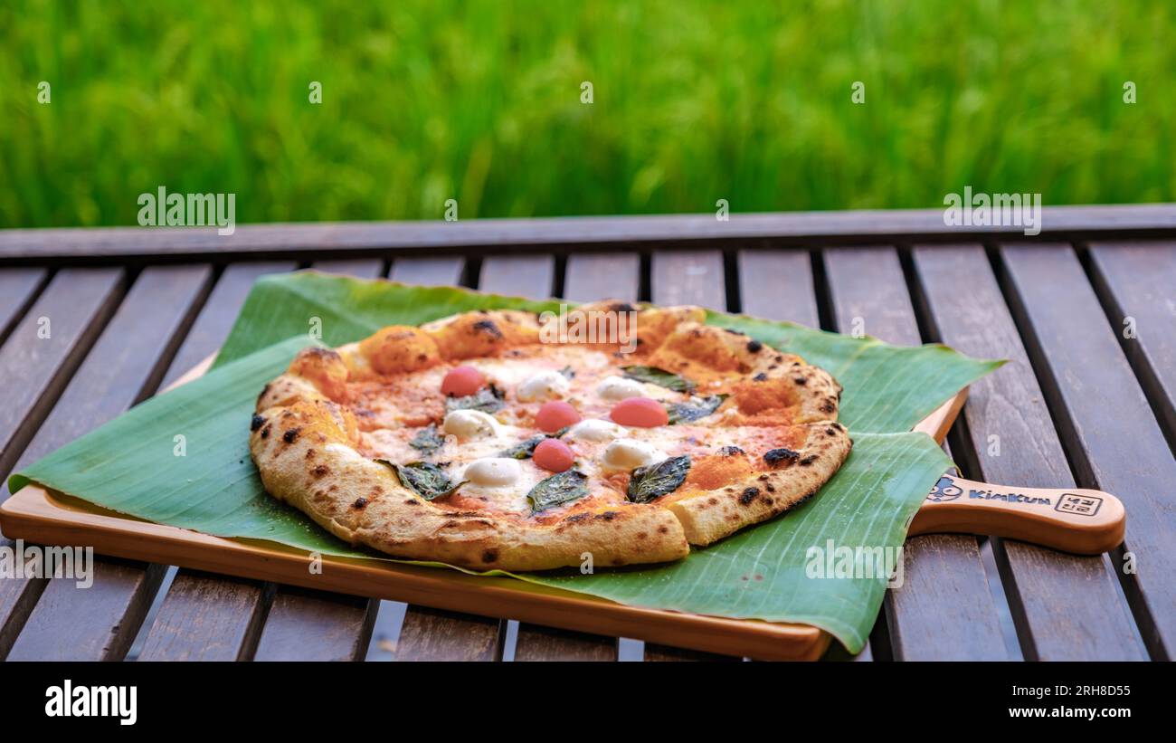 pizza at a farm stay in Thailand with green rice fields, homemade pizza ...
