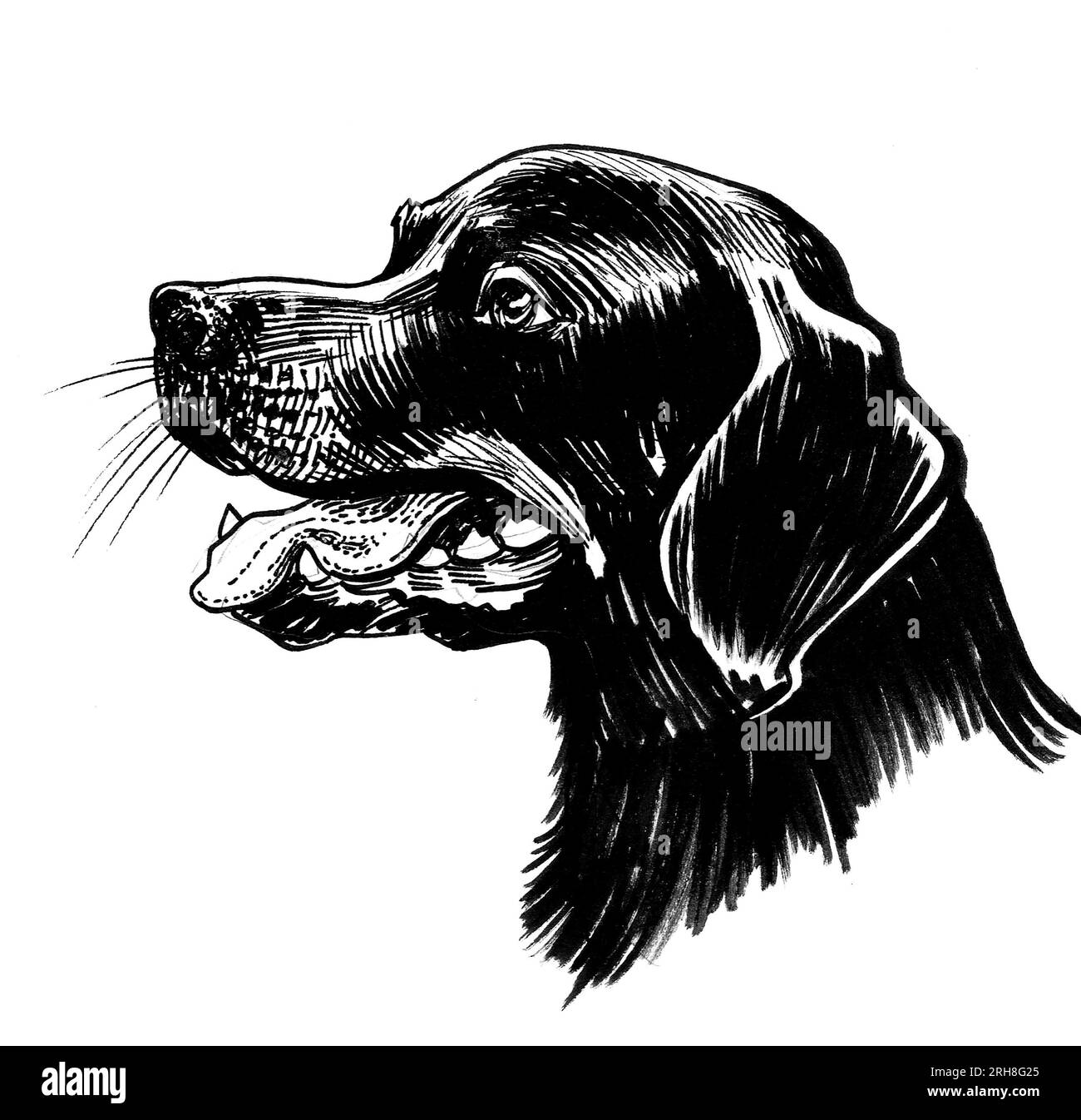 Black dog head. Handdrawn retro styled ink black and white drawing