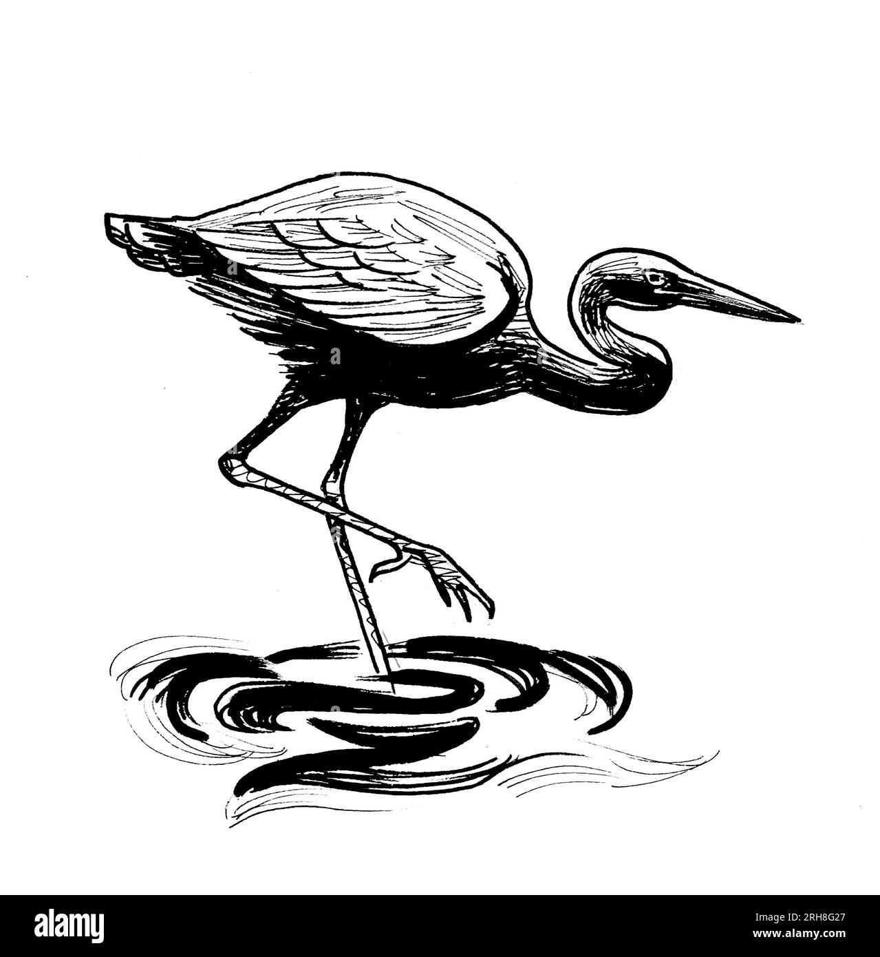 Heron bird standing in water. Hand-drawn retro styled ink black and