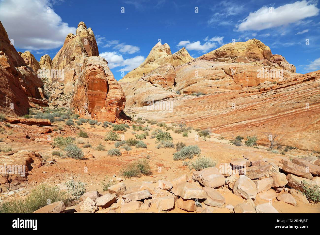 white-domes-trail-valley-of-fire-state-park-nevada-stock-photo-alamy