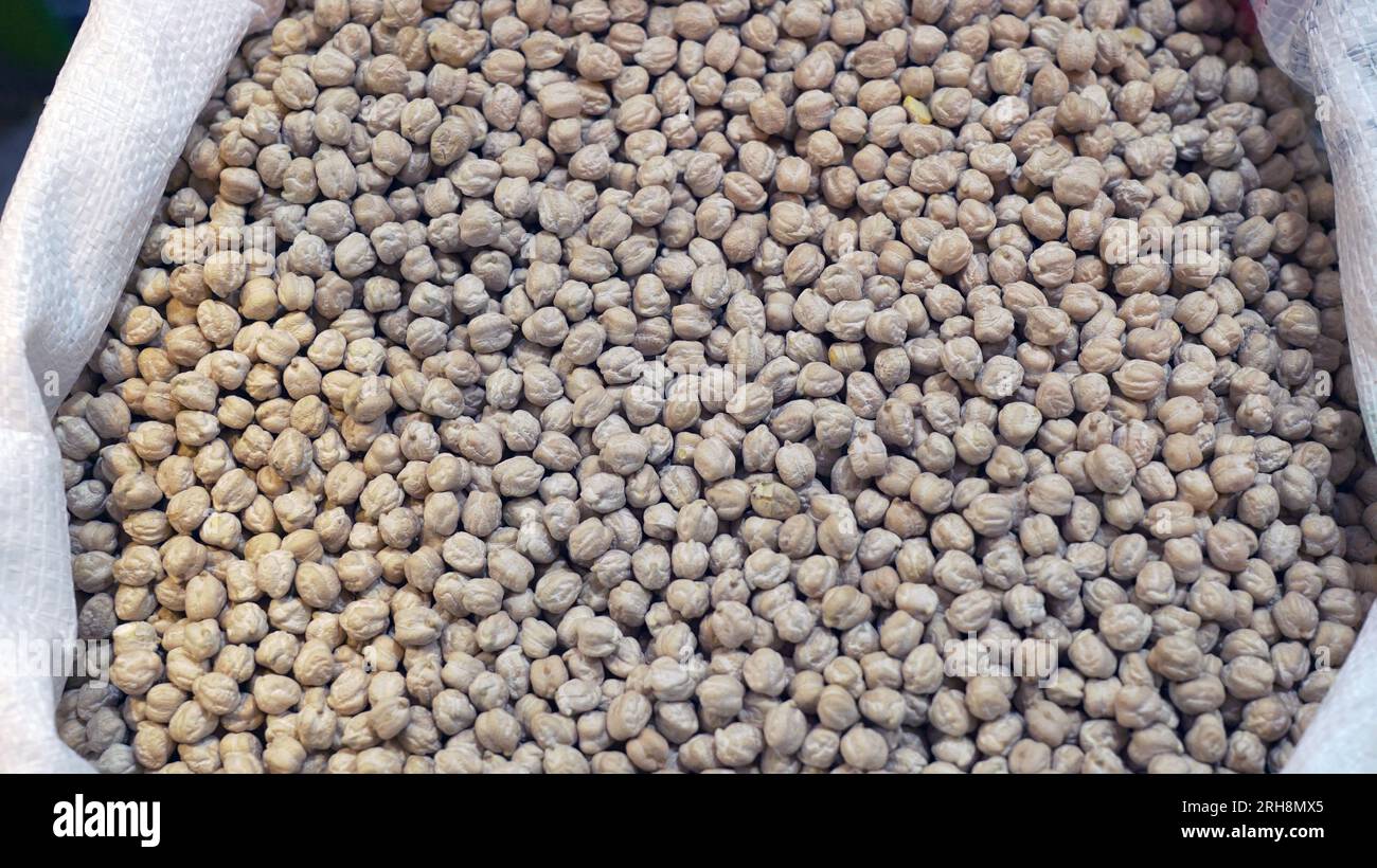 heap of raw fresh chickpeas in in bulk Bags. chick pea(Cicer arietinum) seeds are high in protein, and a key ingredient in Mediterranean, Middle East Stock Photo