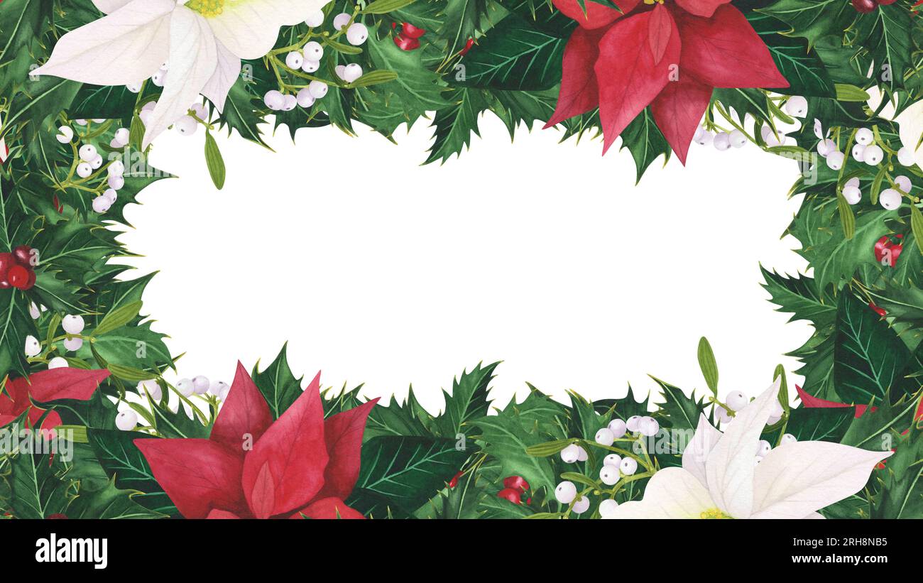 Winter Christmas Background Border Fir Mistletoe Stock Photo 209366257