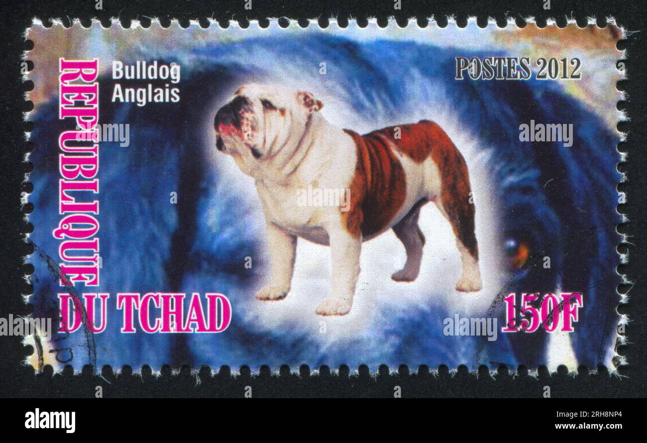CHAD - CIRCA 2012: stamp printed by Chad, shows English Bulldog, circa 2012 Stock Photo