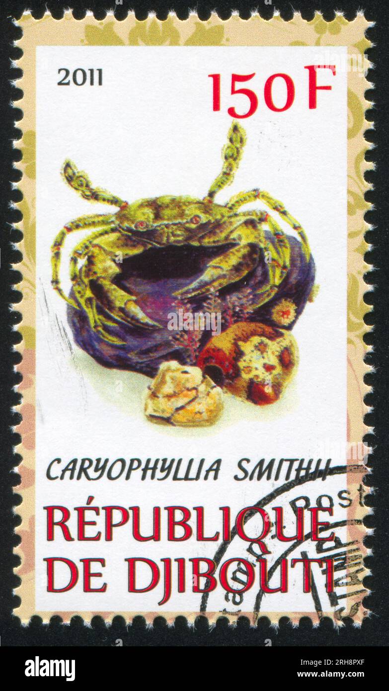 DJIBOUTI - CIRCA 2011: stamp printed by Djibouti, shows Caryophyllia, circa 2011 Stock Photo