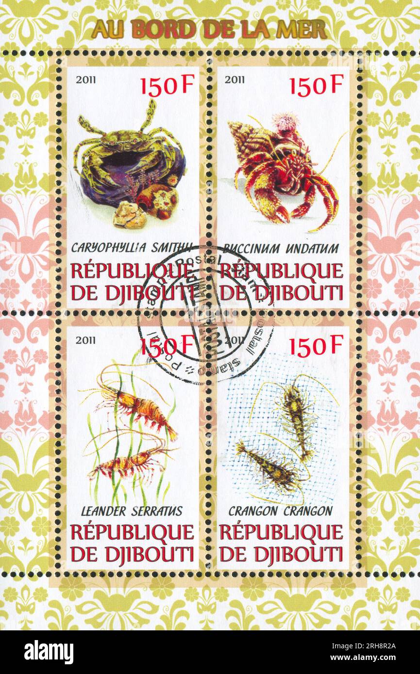 DJIBOUTI - CIRCA 2011: stamp printed by Djibouti, shows ocean animals, circa 2011 Stock Photo