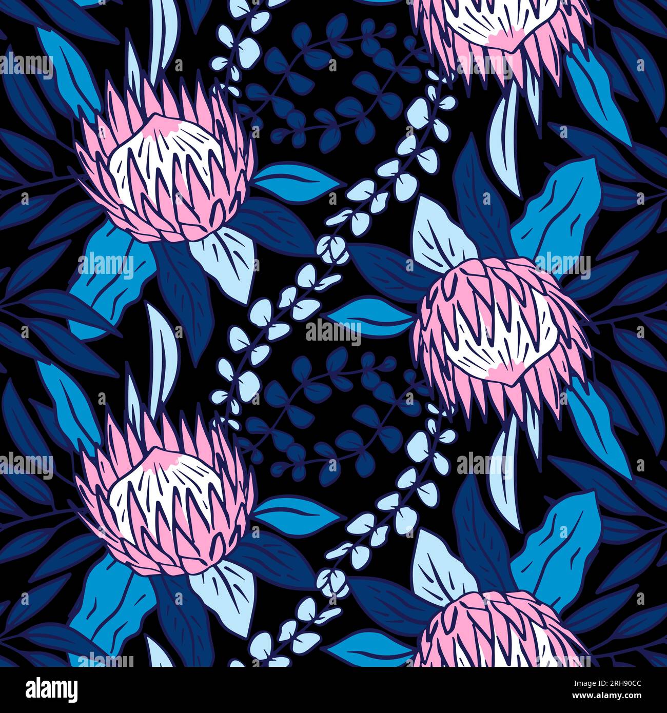 Protea Pattern Protea art black and hi-res stock photography and images - Alamy