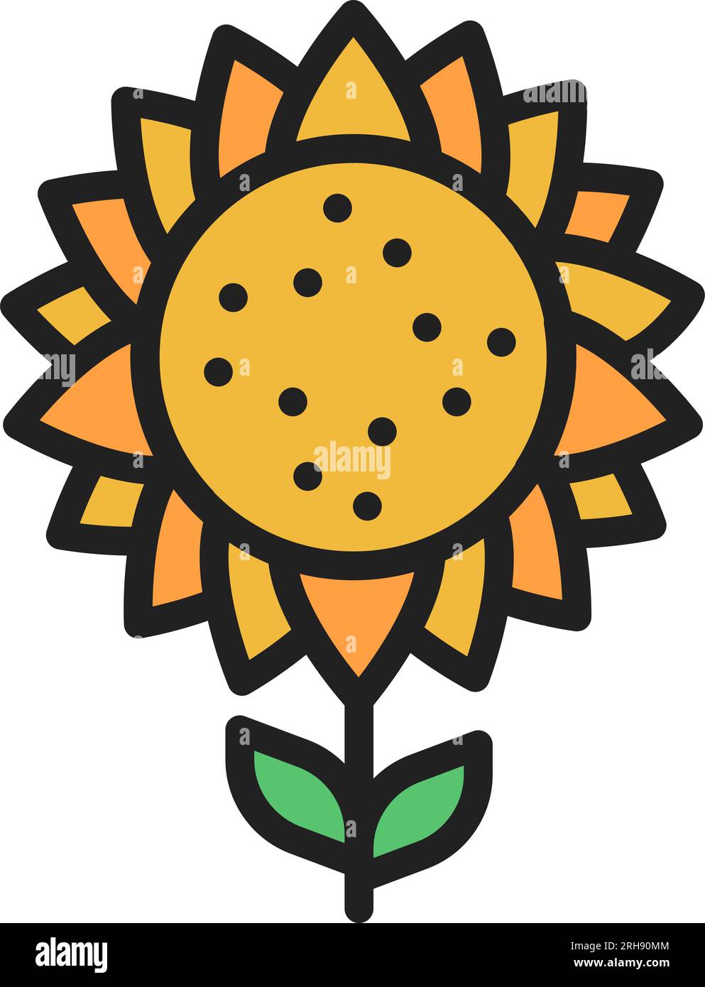Sunflower plant isolated outline hi-res stock photography and images ...