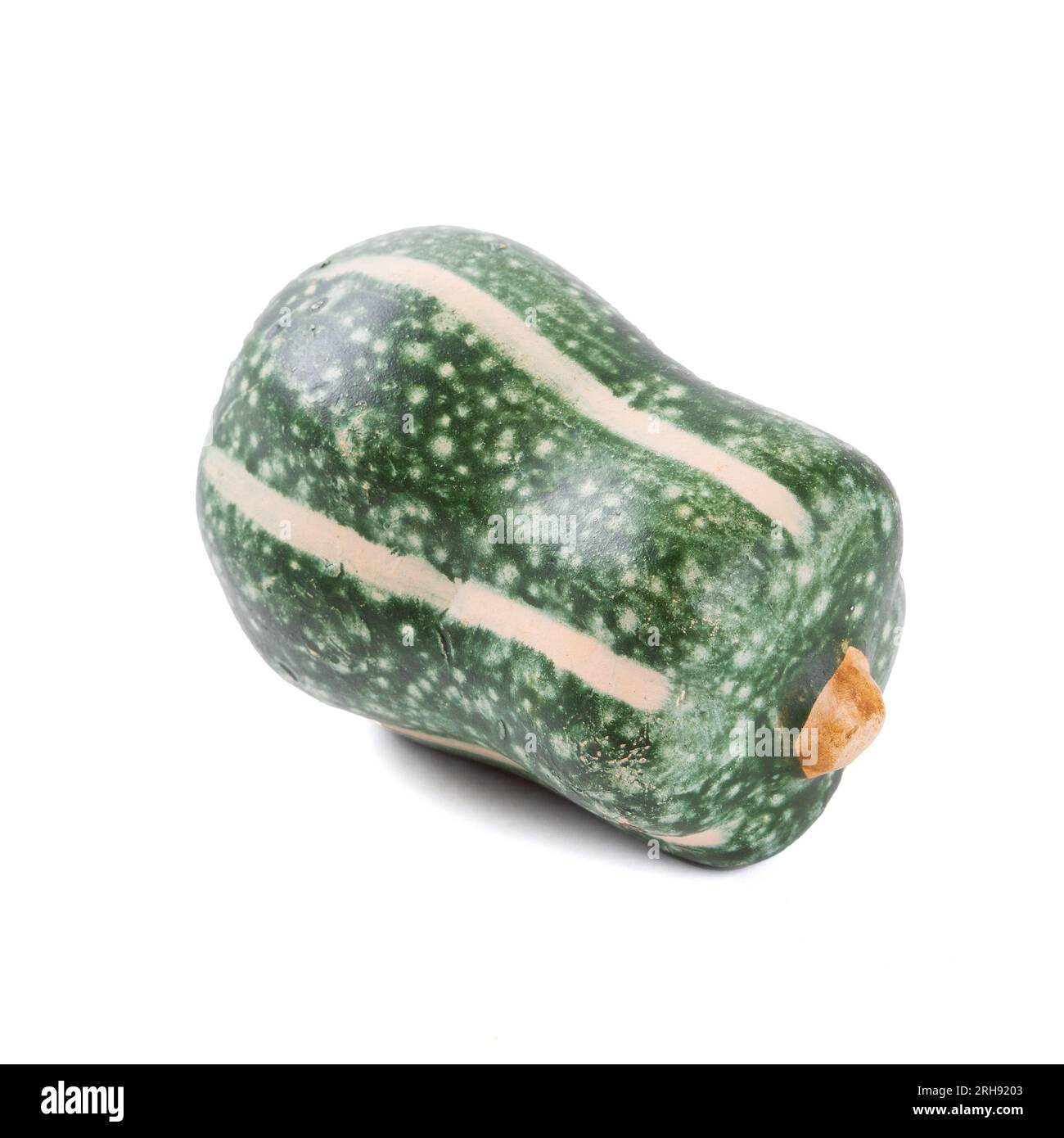 Small decorative green pumpkin with stripes on a white background Stock Photo