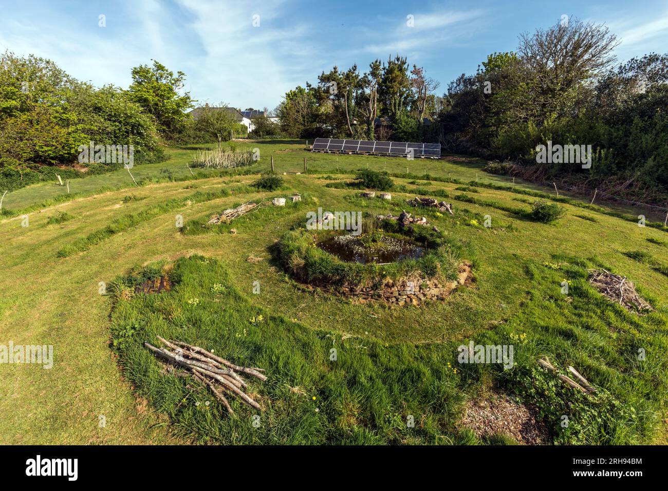 Wild Garden with Pond; Spring; UK Stock Photo