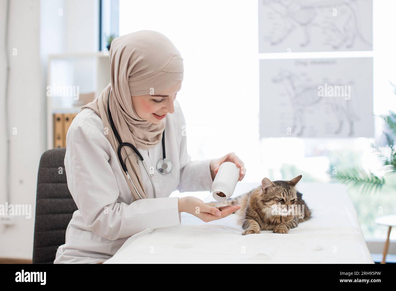 Positive young lady in hijab and lab coat pouring capsules on palm