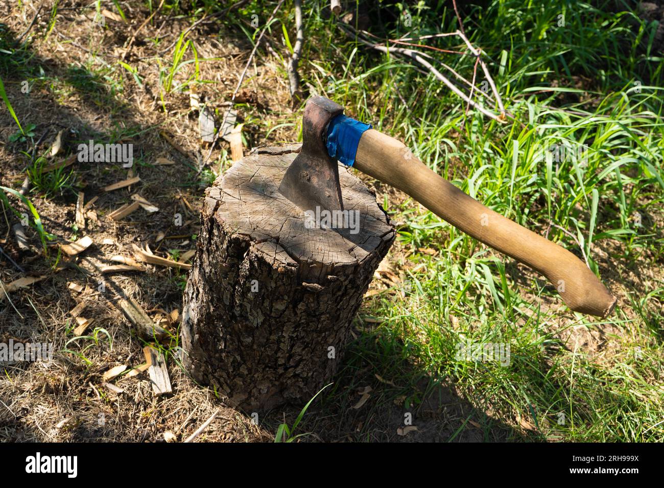 Axe cut in the chopping block on green grass background. Lumber jacks wood cutting work tool in wooden stump. Close up on sunny summer day. High quality photo Stock Photo