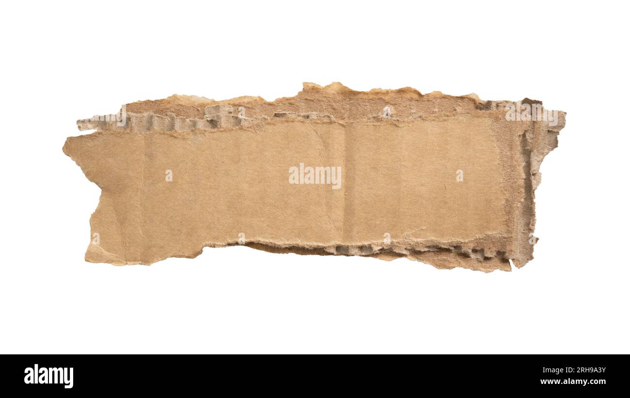 Torn cardboard paper for using as a text box Stock Photo