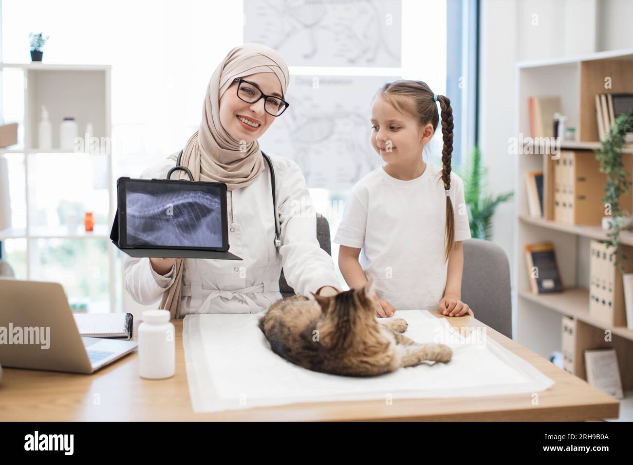 Vet with MRI on tablet and girl posing near desk with cat Stock Photo Alamy