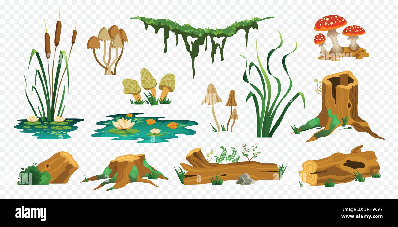 Swamp forest color set of isolated icons with wooden trunks stubs mushrooms moss and water plants vector illustration Stock Vector