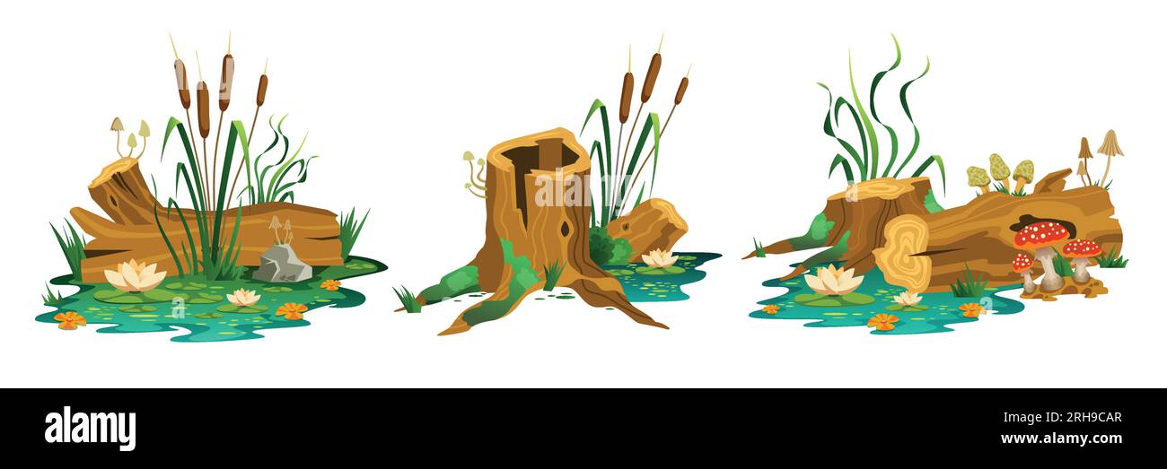 Set of three isolated swamp forest compositions with views of wild marsh stubs trunks and mushrooms vector illustration Stock Vector
