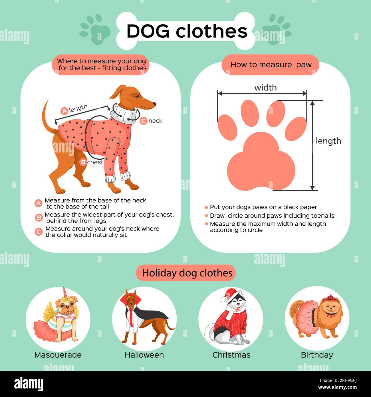 Dog clothes flat infographics demonstrating how to measure pet and