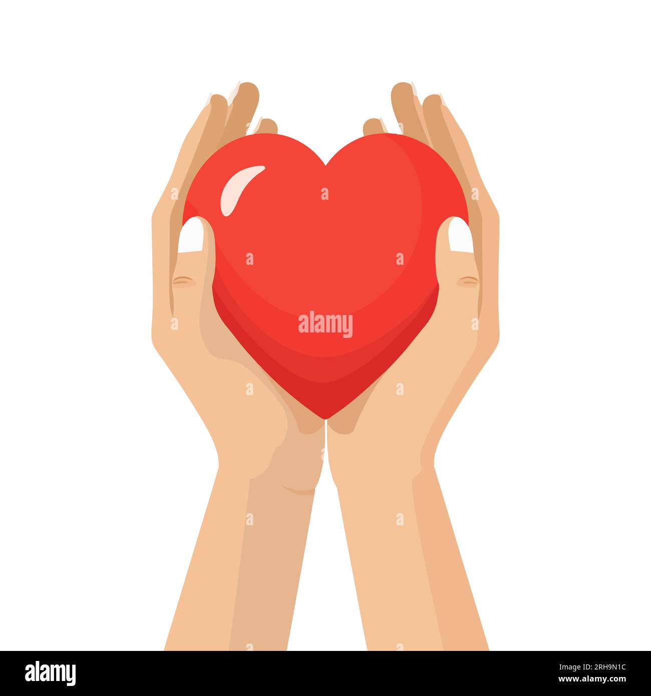 hands holding a heart in a flat style on a white background. Vector ...