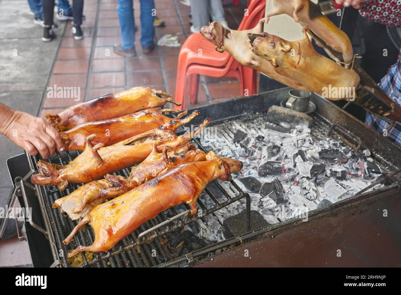 Close up photo of roasted guinea pigs (cuy) on a grill in Banos town, selective focus, Ecuador. Stock Photo