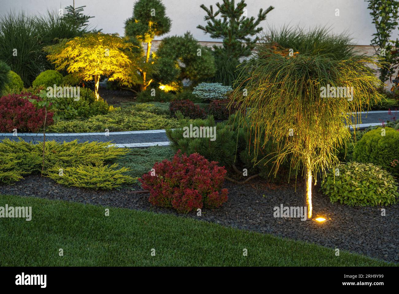 Residential Back Yard Garden Illuminated by Modern LED Lighting System Stock Photo