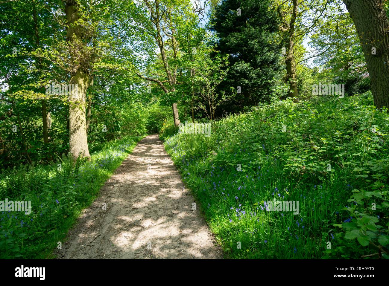 Walkway through English country garden. Woodland pathway to explore the ...