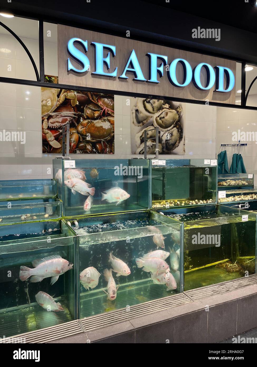 Live fish and seafood on sale in supermarket.Kuala Lumpur , Malaysia Stock Photo