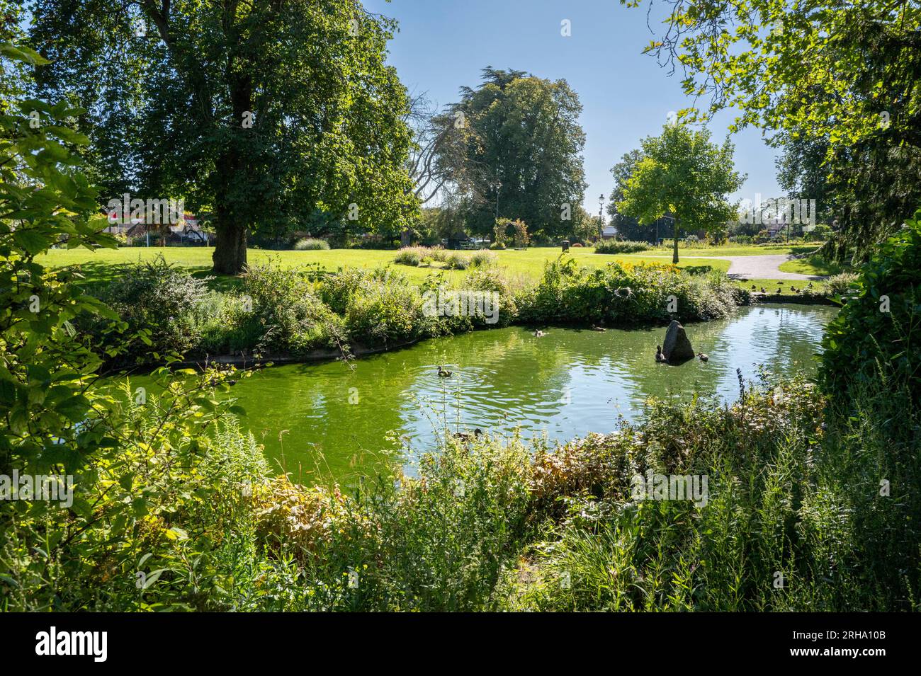 Essex gardens hi-res stock photography and images - Alamy