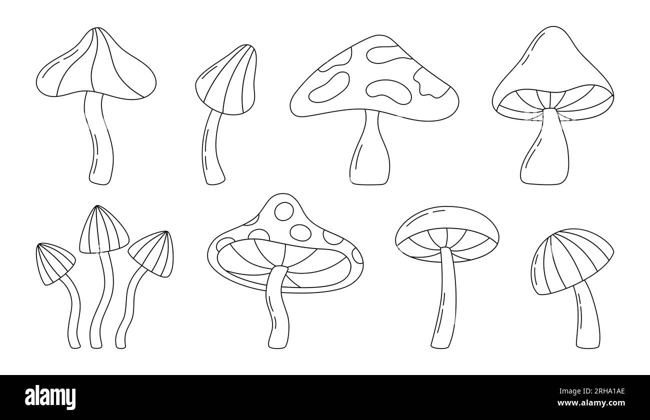 Collection of outline mushrooms isolated on white background. Hand drawn mushroom in line style. Vector illustration. Stock Vector