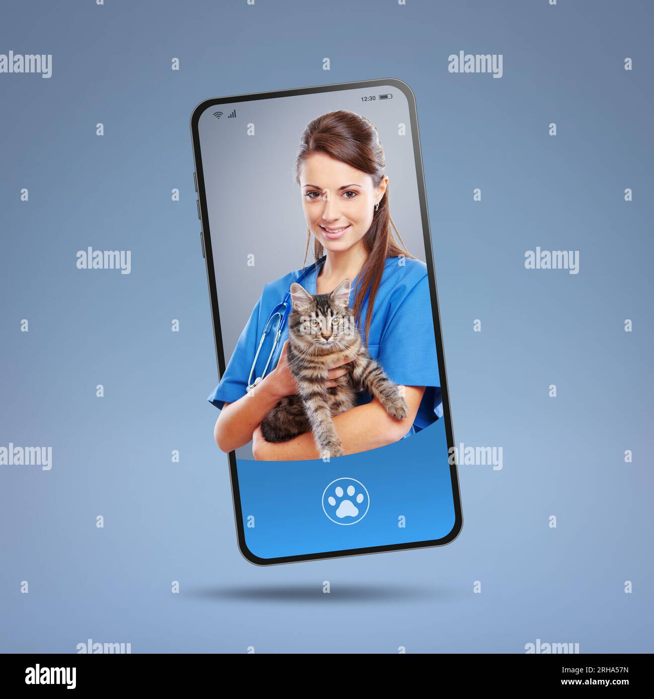Online veterinarian service and pet care app smiling female