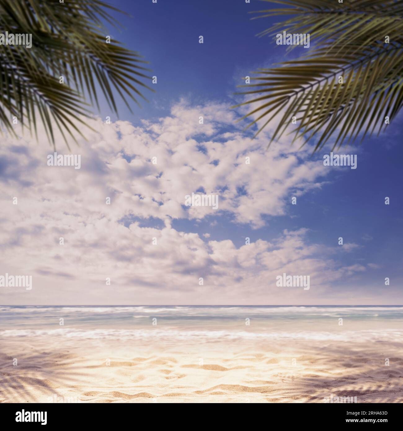 Sunny tropical beach background with palm trees, sand and ocean waves ...