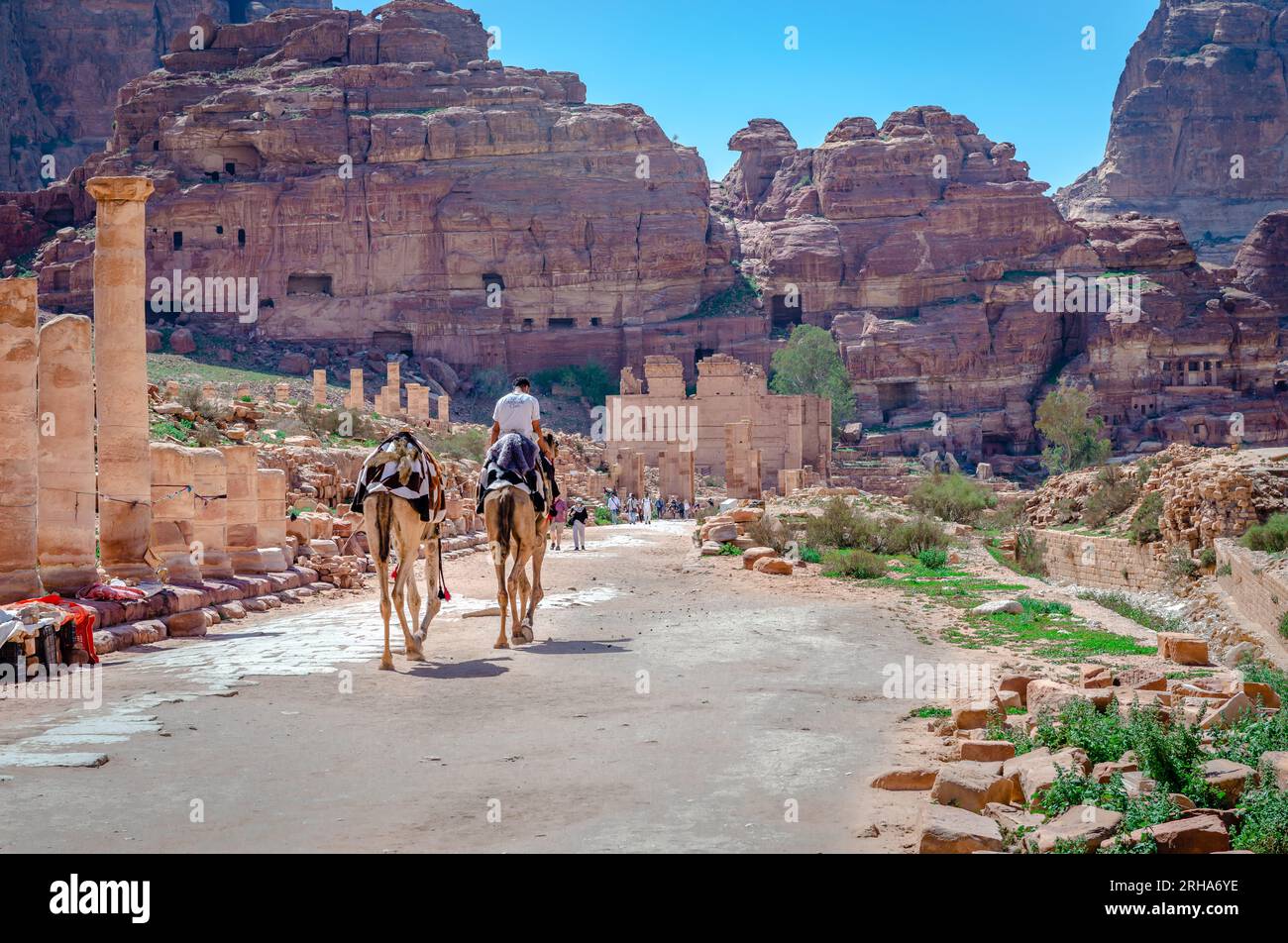 The Colonnade Street that runs through the ancient city of Petra with the temple of Qasr al-Bint (Dushares) up front. Stock Photo